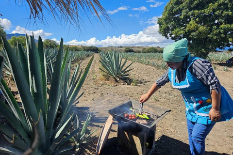 Oaxaca: Private Lunch in Maguey Fields with Mezcal Tasting