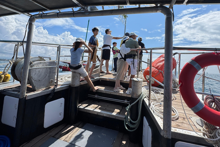 Chagwido Boat Fishing, Dolphin Watching with Local Lunch