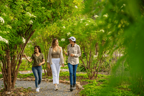 Adelaida Hills: Visita a la granja Jurlique