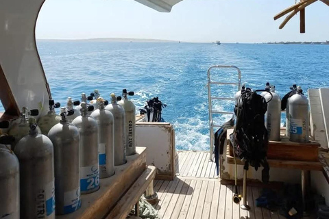 Hurghada: Scuba Diving for Certified Divers & Beginners Boat trip for the Certified Divers with Lunch & Transfer