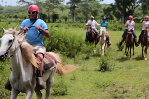 Rainforest zip line buggie horse riding lunch & macao beach Punta cana: zip line dune buggies horse riding cenote 3 in 1