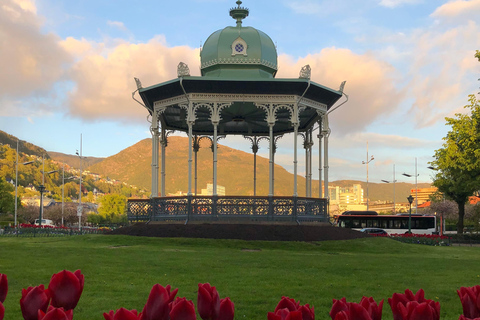 Bergen: Private Shore Excursion, Best of Bergen