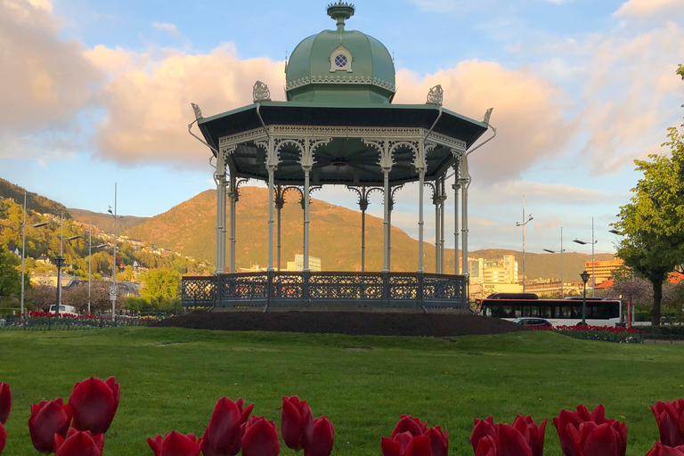 Bergen: Private Shore Excursion, Best of Bergen