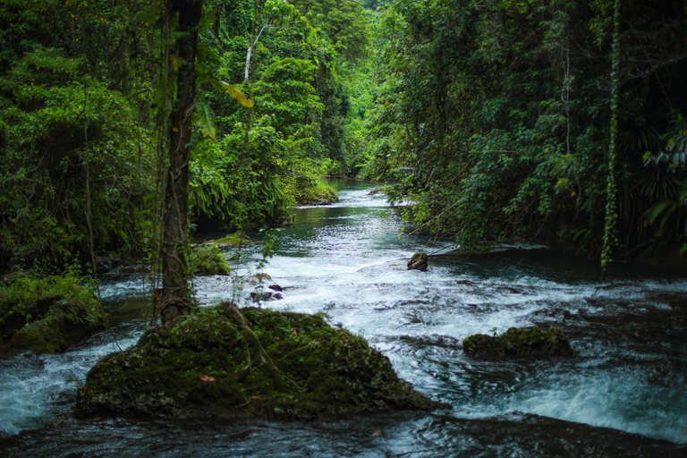 Efate: Private Customizable Island Tour