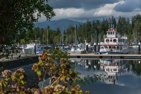 Vancouver: Cruzeiro turístico com almoço incluído