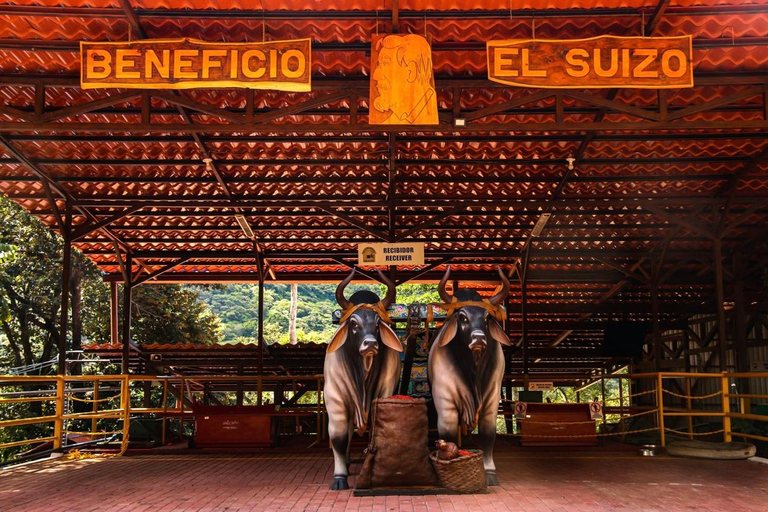 San José: Hacienda La Chimba Coffee Experience Tour