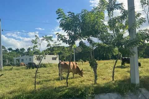Puerto Plata Countryside & Village Panoramic Tour