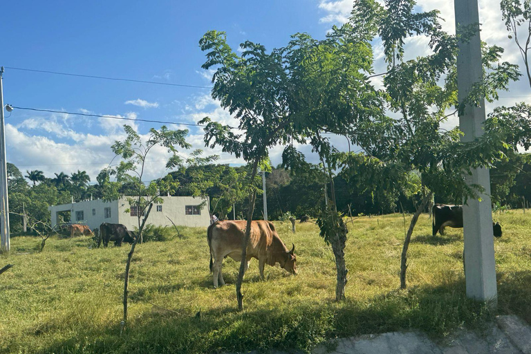Puerto Plata Countryside & Village Panoramic Tour