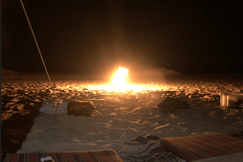 Vanuit Caïro: Bahariya Oase en Zwarte en Witte Woestijn Tour