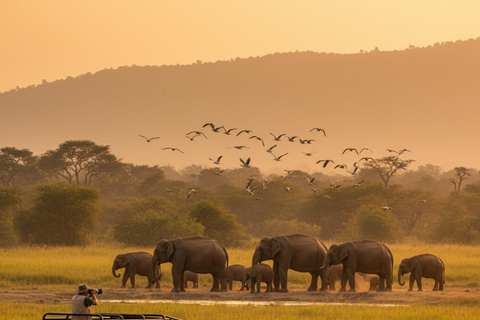 Professional Wildlife & Birdwatching Expedition – Minneriya