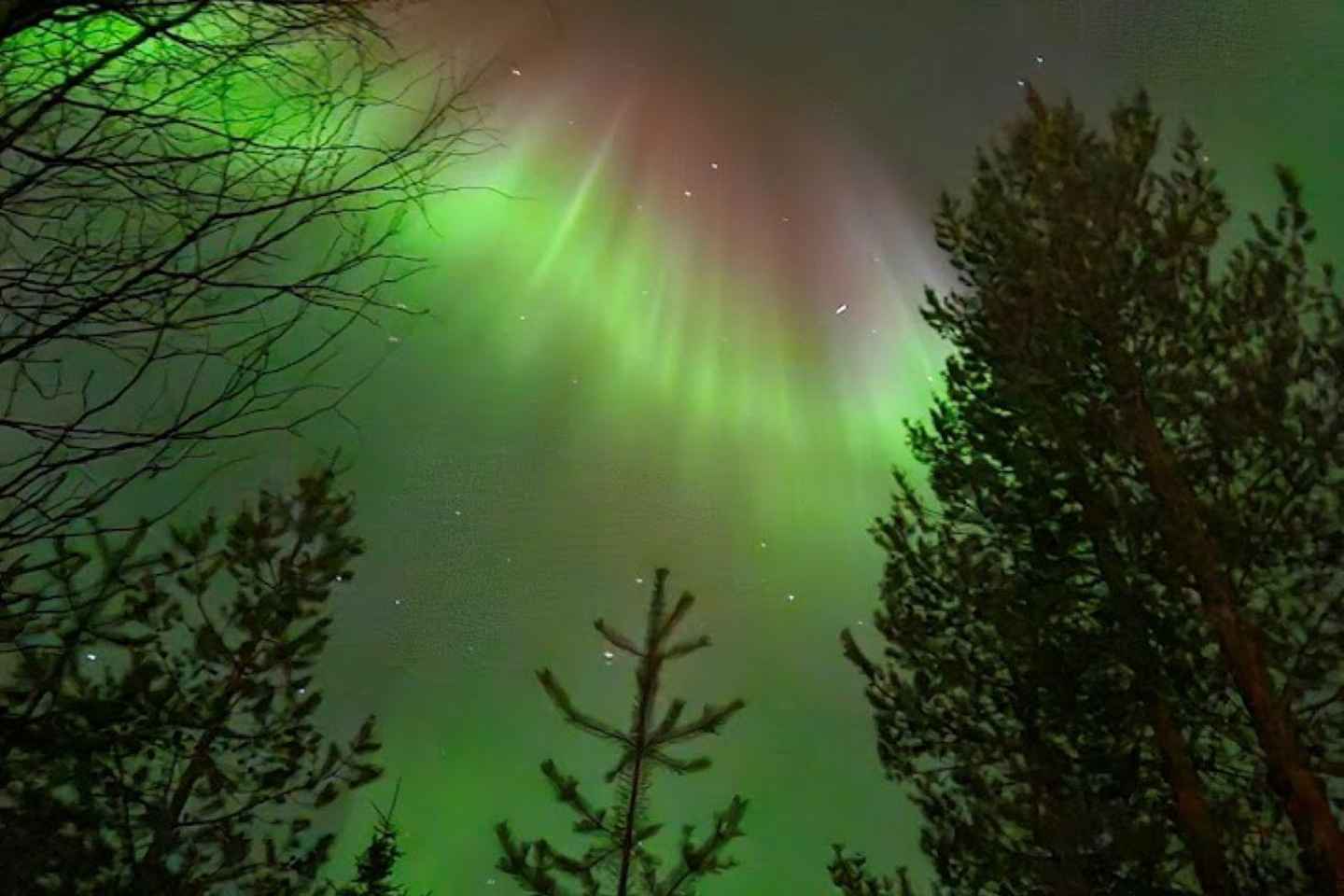 Лапландия: Частное Снегоходное Сафари с Арктическим Гидом