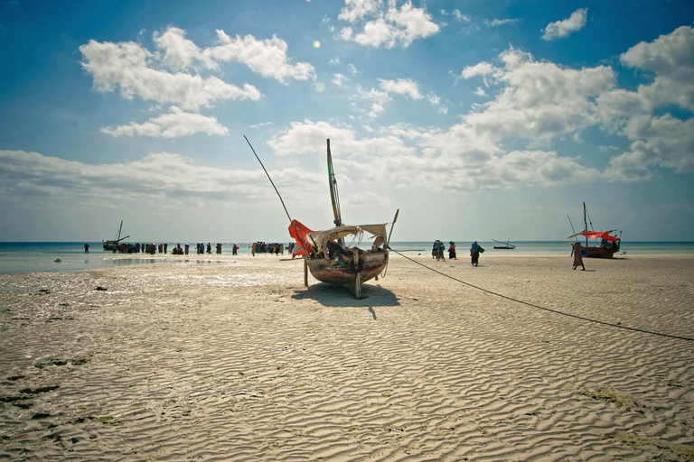 Mombasa: Wasini Island Dhow Cruise, Dolphins & Lunch