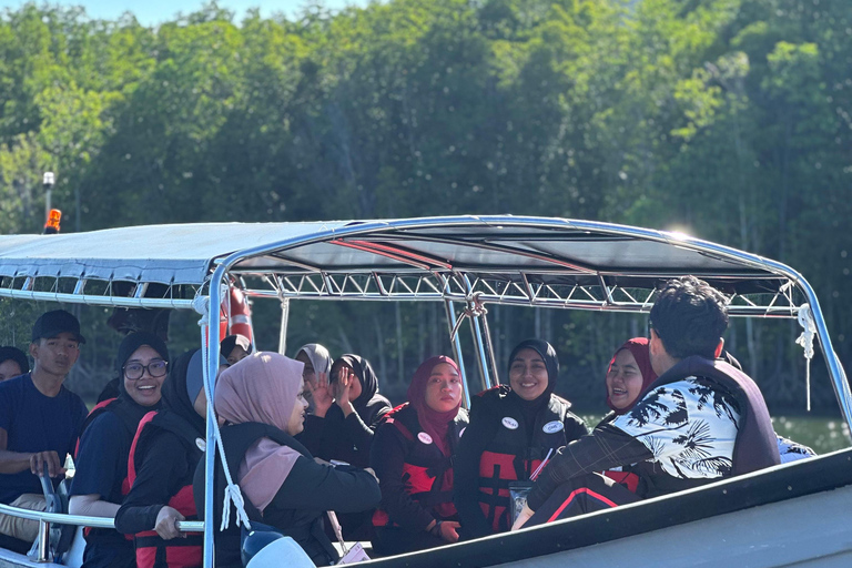 Langkawi: Sharing Mangrove Boat Tour 4 Hours