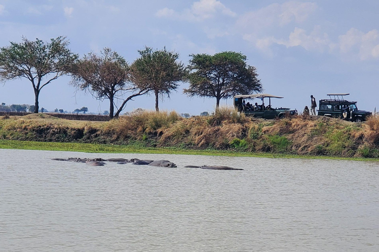 MIKUMI NATIONALPARK DAGSUTFLYKT FRÅN ZANZIBAR MED FLYG