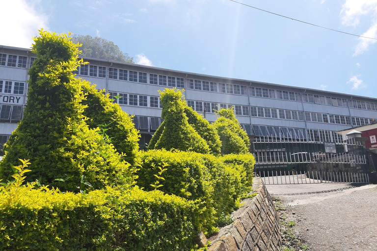 Lipton&#039;s Seat, Adisham Bungalow, excursão à fábrica de chá DambetennaDe Ella: Duas noites e três dias - Tour totalmente particular