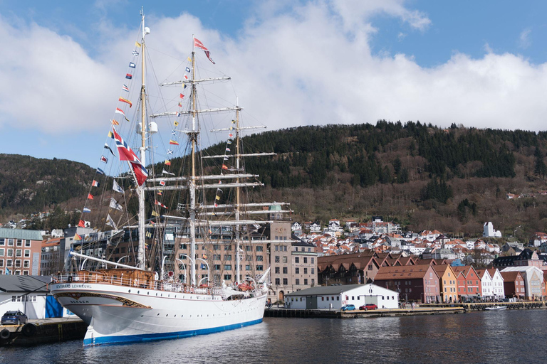 Bergen: Haakon’s Hall and Bryggens Museum Small-Group Tour