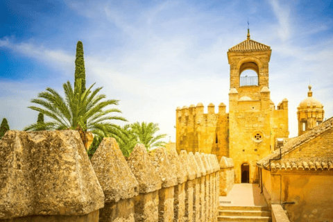 From Seville: Cordoba Private Day Trip