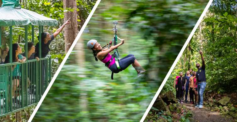 From Castries: St. Lucia Zip-Line, Tram & Hiking Adventure
