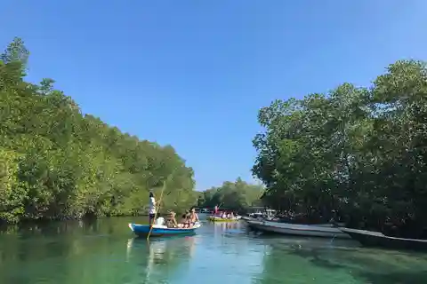 Excursion dans les mangroves et les îles de Nusa Lembongan
