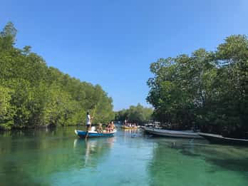 Nusa Lembongan Mangrove & Island Tour