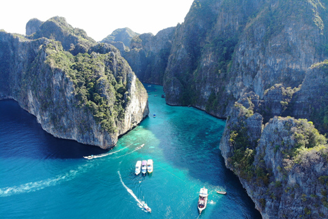 Try Dive Excursion for Beginners: Phi Phi Island