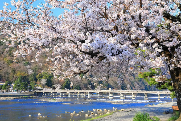 [From Osaka] Kyoto 1-Day Tour Miyama, Katsuo-ji & Arashiyama Osaka Round-trip
