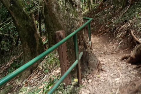 Bosque de Karura: Un recorrido a pie por el Oasis Natural de Nairobi