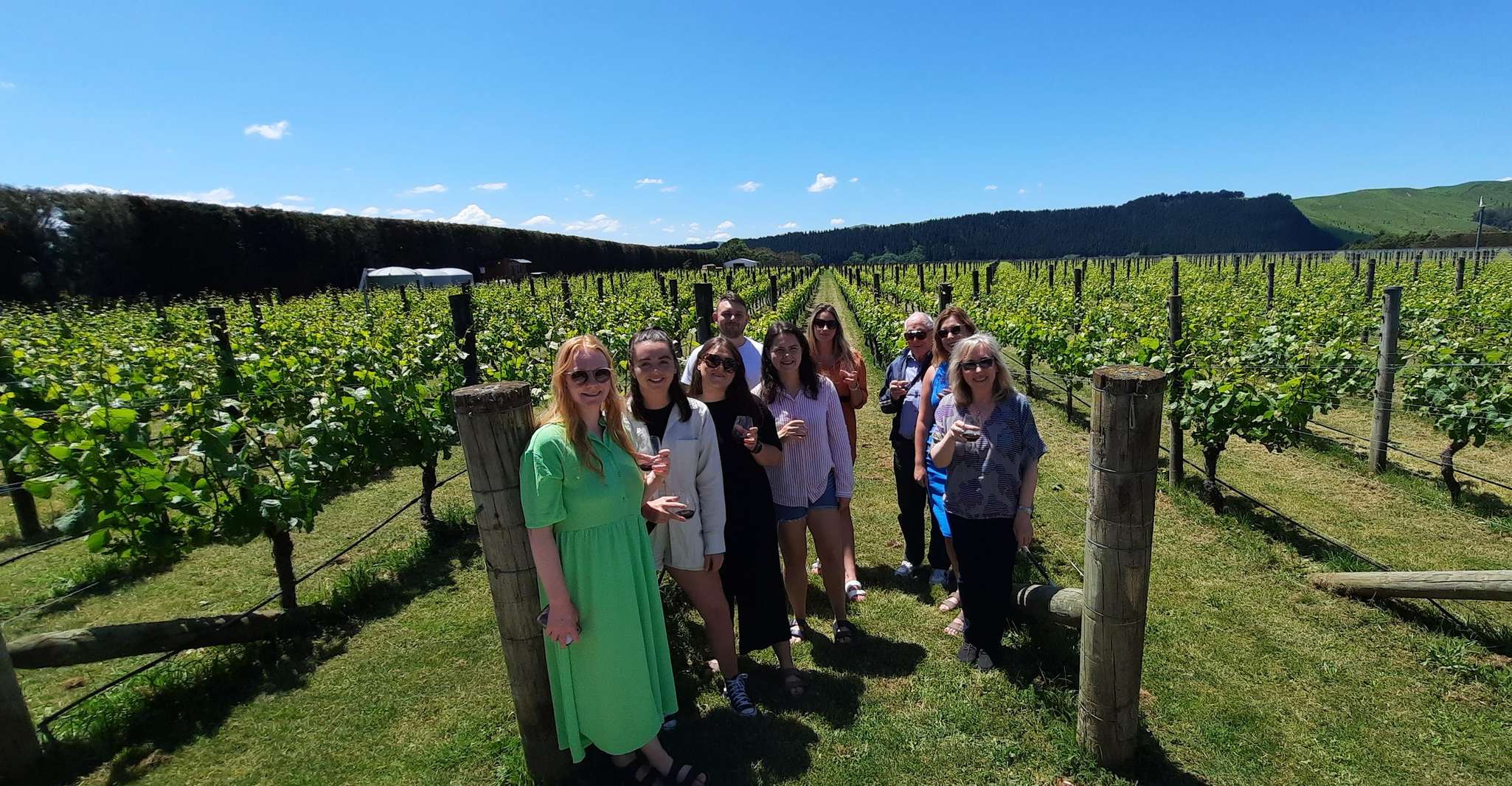 Martinborough Winery and South Wirarapa Wild Coast Tour - Hizvo