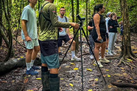 Uvita: Corcovado Rainforest & Wildlife Adventure