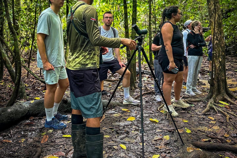 Uvita: Corcovado Rainforest & Wildlife Adventure