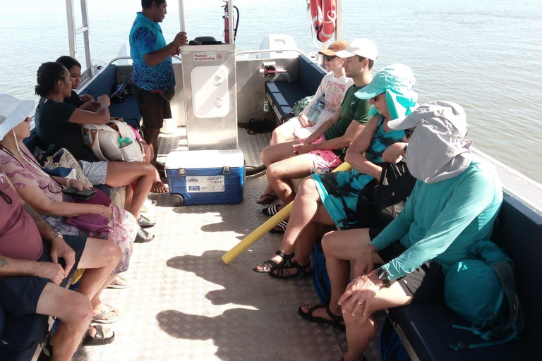 Nadi: Mamanuca Islands Snorkel, Turtle Sanctuary & Lunch