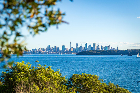 Private Sydney Beaches Escape Tour Private Group Tour