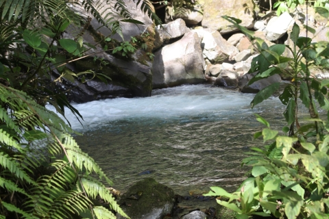 Ukryte klejnoty Chiriqui - jednodniowa wycieczka do wodospadu Thunder