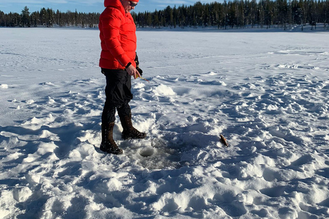 Levi: Fishing, Lunch &amp; Reindeer Farm Visit in the Wilderness