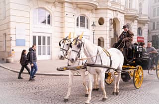 Wien: Rumänisches Erbe und Weihnachtsmärkte Geführte Tour