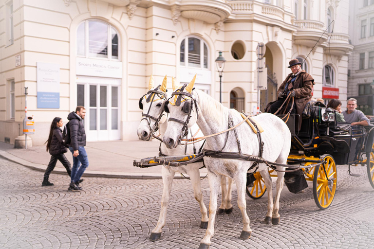 Vienne : Visite guidée de l&#039;héritage roumain et des marchés de Noël