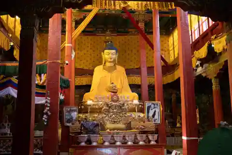 Full Day Leh Monasteries Tour (Shey, Thiksey & Hemis)