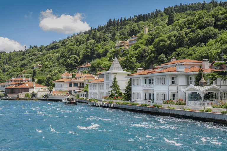 Istanbul:Princess Island(Büyükada)& Island Electric Car Trip Tour only includes guidance.