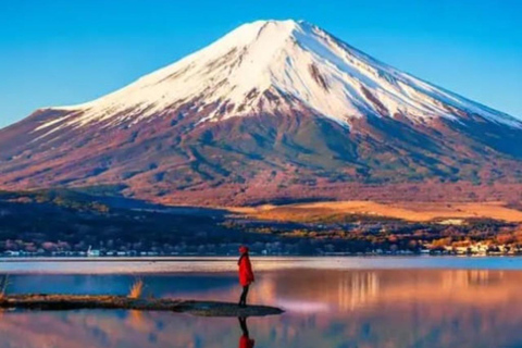 Tokyo: Mount Fuji and Hakone Hidden Gems Tour