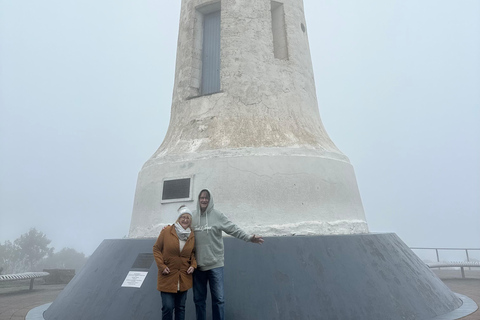 Adelaide: Mezza giornata di visite alla città, al monte Lofty e a HahndorfAdelaide: tour di mezza giornata tra le attrazioni della città, il monte Lofty e Hahndorf