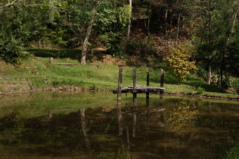 Comalapa Cultural and Farm Experience from Antigua Guatemala