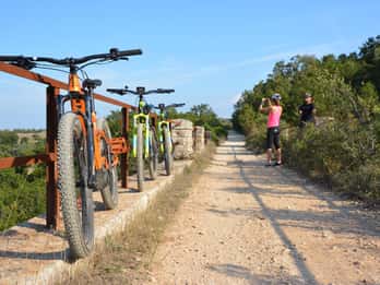 Ciclovia dell'acquedotto con degustazione di vini in cantina