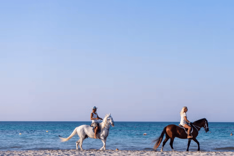 Beach and Village Horseback Ride in Djerba