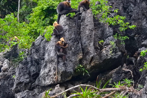 2 Days 1 Night Adventure: Cat Ba National Park, Lan Ha Bay From Cat Ba Island: 2 Days 1 Night Adventure