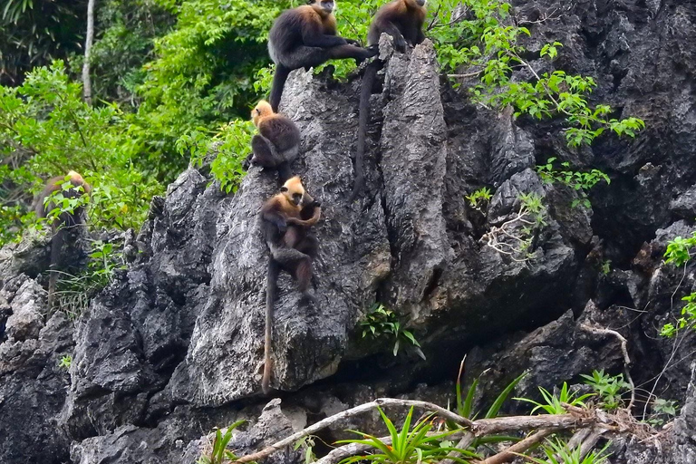 2 Days 1 Night Adventure: Cat Ba National Park, Lan Ha Bay From Cat Ba Island: 2 Days 1 Night Adventure