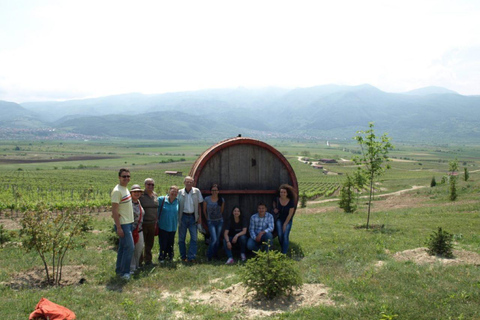From Sofia: Plovdiv and Thracian Wine Tour with Lunch