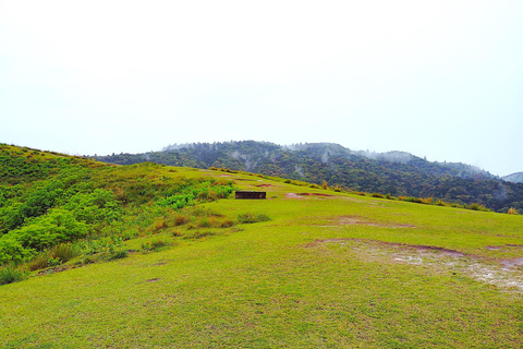 Nara: Hike Mt. Wakakusa and Encounter Wild Free-Roaming Deer