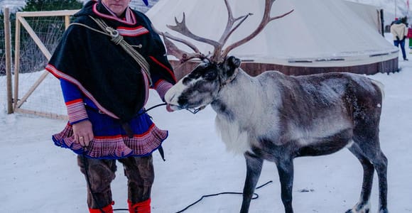 Tromsø: Sami Reindeer Sledding