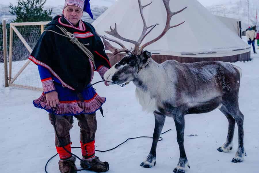 Tromsø: Sami-Rentierschlittenfahrt. Foto: GetYourGuide