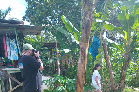 St. Lucia: Landausflug nach Castries City &amp; StrandpicknickSt. Lucia: Stadtrundfahrt durch Castries und Strandpicknick